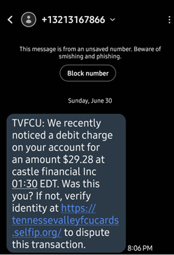 example of scam text 7-1-2024